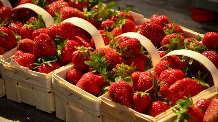 Everything you need to know about Strawberries: varieties, tips, and delicious recipes.