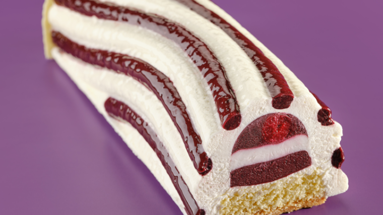 Borealis log cake